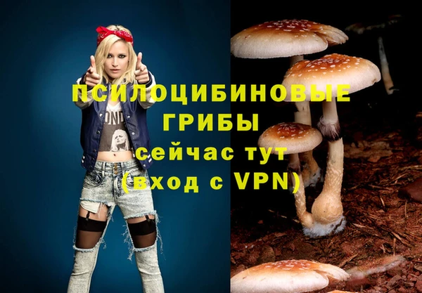2c-b Вязники